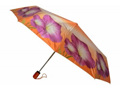 Зонт Sponsa - Арт. 10305-06, женский Зонт Sponsa - Арт. 10305-06, женский